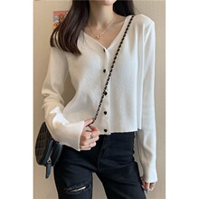 ����2025�¿��n���@��V�IС���Ӛ��|���ļ~���L��ᘿ��_��Ů����