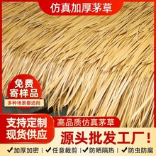 ����é��������ľ�ݏ͹������S�����r�Ҙ������é�������ȼé��