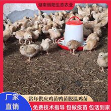 ���lÓ��һ�����S���u����w����������r��ɽ�ط��B���u�B����B