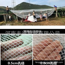 果园菜园防鸟网葡萄樱桃冰雹网果树防雹网尼龙网鱼塘防护网