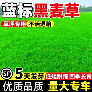 �ļ������{�˺����ݲ��Ѱ���ͥԺ�e�����@��ƺ���ؾG����ƺ�N����