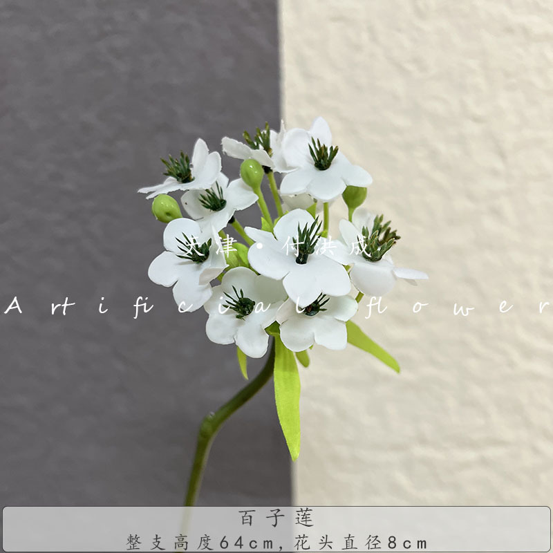 새로운 스타일의 릴리