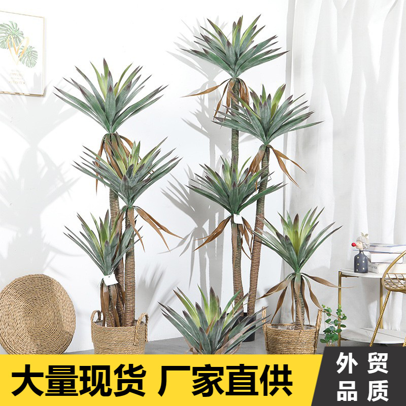 仿真龍舌蘭劍麻盆栽熱帶植物商場裝飾擺件龍血樹綠植造景觀龍舌蘭