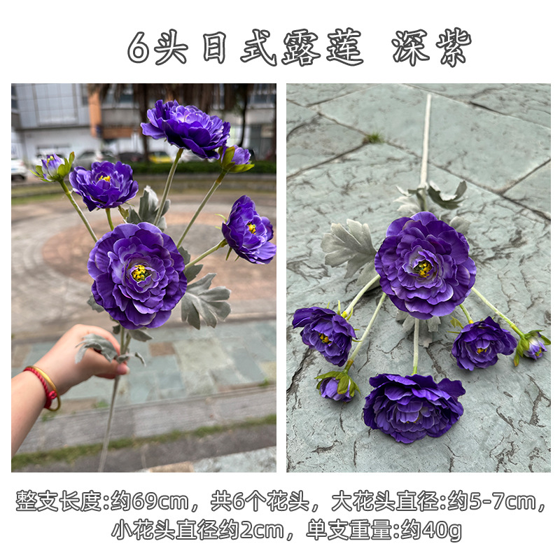 진한 보라색
