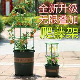 可拼接无限叠加爬藤架通用型蟹爪兰花架莲花护叶架园艺盆栽支撑杆
