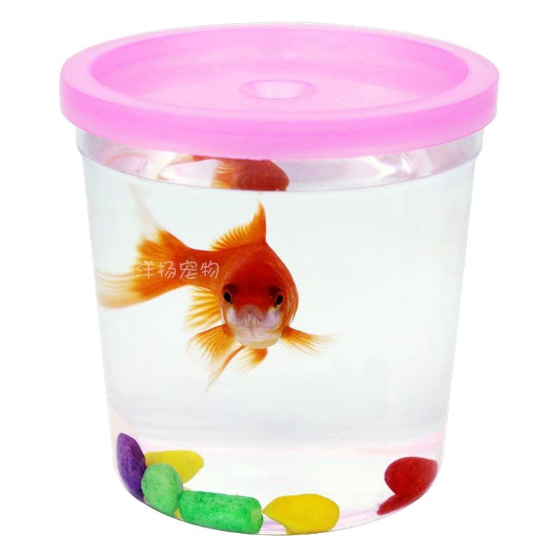 Мини-аквариум для бетт, аквариум для медуз, пластиковый маленький аквариум, утолщенный контейнер для животных, напрямую от производителя.