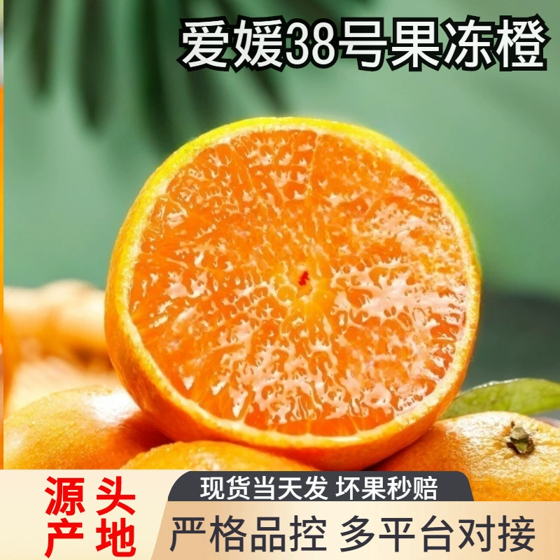 Sichuan Ehime No. 8 Jelly Orange Fresh Oranges Seasonal Fruit Citrus Honey Oranges 9 Whole Boxes Pack 5 Sichuan Ehime No. 8 Jelly Orange Fresh Oranges Seasonal Fruit Citrus Honey Oranges 9 Whole Boxes Pack 5