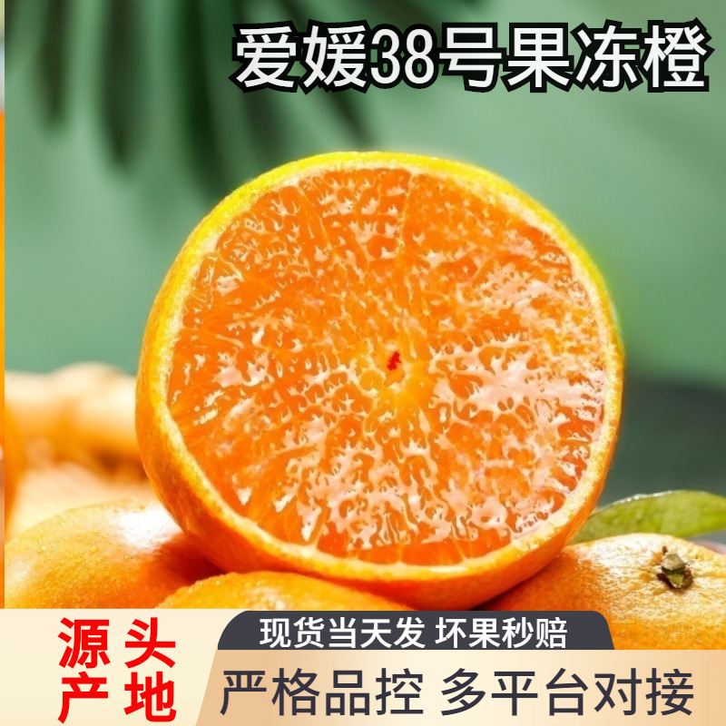 Sichuan Ehime No. 8 Jelly Orange Fresh Oranges Seasonal Fruit Citrus Honey Oranges 9 Whole Boxes Pack 5