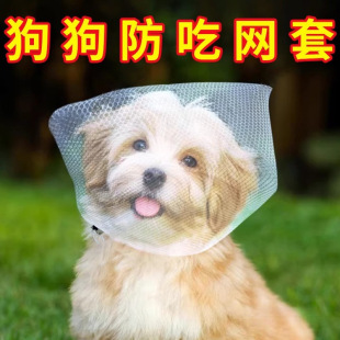 С�͹������֖|�����׳Է��W�׷�ֹ�������ҧ�y���ցy