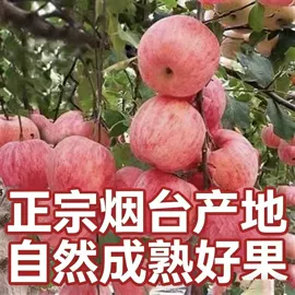 苹果;梨;块茎类