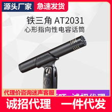 Audio Technica/铁三角 AT2031 电容麦钢琴提琴吉他人声专业话筒