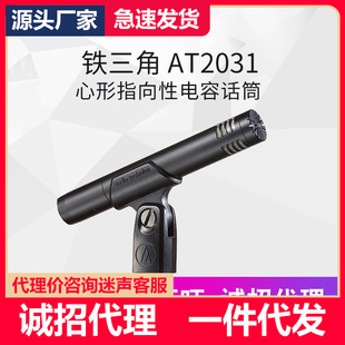 Audio Technica/�F���� AT2031 �����������ټ��������IԒͲ