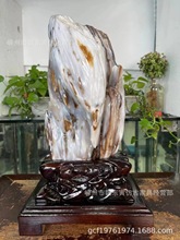 缅甸树化玉东岛老坑高冰鸡油黄玉石奇石原石矿物家居摆件收藏佳品