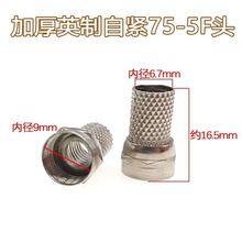 ȫ�~Ӣ���ԾoF�^�о��ҕ�����^�C픺��l���쾀���ՙC���^75-5��