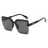Trend sunglasses, fashionable sun protection cream, 2022 collection, internet celebrity, fitted, European style, UF-protection