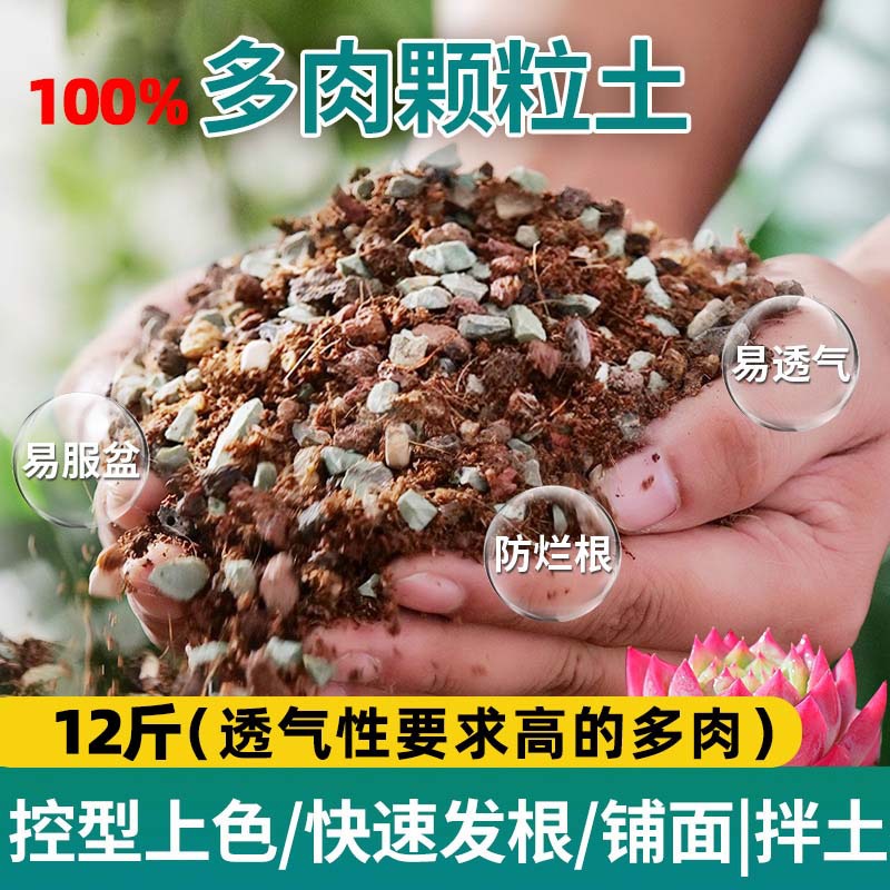 Succulent soil [100% particles] 6kg