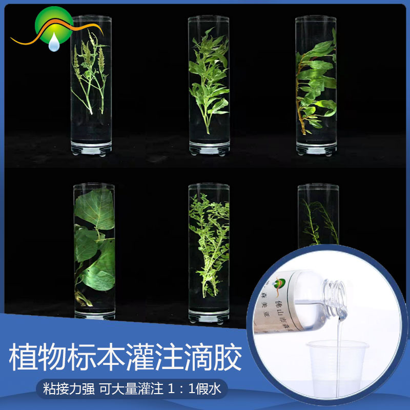 植物标本胶水 标本灌注假水 树脂胶 不黄不发热 高透明
