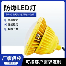 防爆灯;其他防爆器材;其他插座