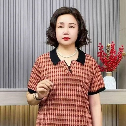 2025 Summer Trendy Stylish Versatile Charming Collar Grid Slim Fit Short Sleeve Top