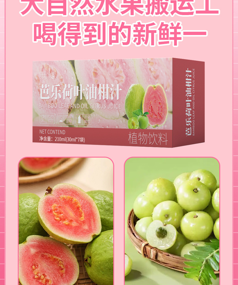 Red Heart Guava Lotus Leaf Amla Concentrated Juice 70ml Fresh-Pressed Herbal Fruit Drink 30ml x 7 Sticks specifications
