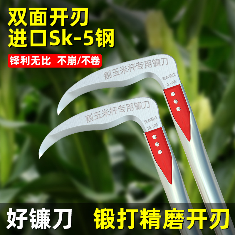 トウモロコシの竿の神器の鎌を切ってトウモロコシの専用のドイツの輸入の農具を切ります。|undefined