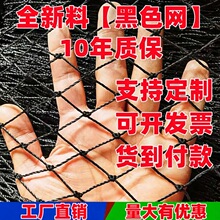 ��ɫPE�O�W���B�W�Bֳ�W���W�ϾW̧�W�W�����W�r�ؾW�r�۾W