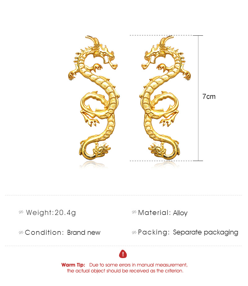 Nihaojewelry wholesale jewelry retro Chinese dragon metal geometric earrings