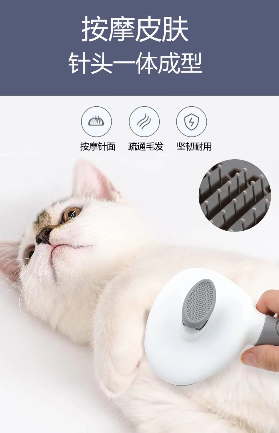 f8bf6eaa-b207-44aa-8f8c-4bd3fb0ce20e.jpe