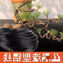 �辰�������z�_�h�������X���@�֘������Ͷ������F�zܛ�X�z�@ˇ��