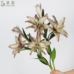 ����3�^�ذ�ؐ���ٺϼٻ���Y�廨��c�ҾӰٺϻ��ҾӼٻ��b�