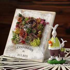 ins假花实木做旧相框花艺桌面玄关橱窗民宿摆件手工编织装饰藤艺