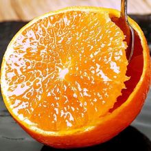 四川眉山青见果冻橙新鲜孕妇水果现摘整箱批发橙子冰糖橙