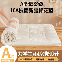 2025A����100%���½��޴��|10A���������ӱ�ܛ�|�����޻������