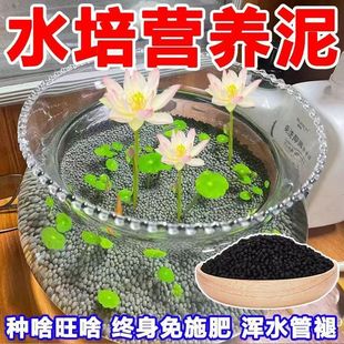 ��ɏ��ˮ������ɏ�߷�������ˮ����ˮ��ɏ˯ɏˮ��ֲ��I�B��