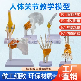 教学演示用品;学校课桌椅;医药教学器材