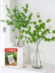 ���W����Gֲ���滨���R��֦�R��ľ�~�٘�֦�͏dֲ���b[��