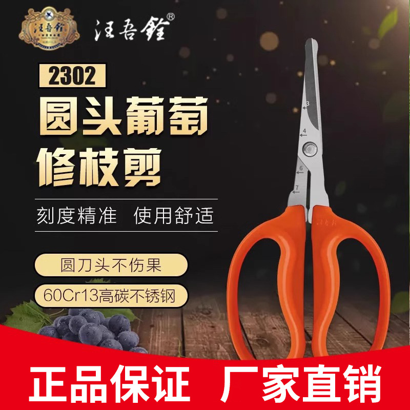 汪吾铨翘头葡萄修枝剪刀水果盘栽家用菜园小剪刀园艺修剪托盘工业