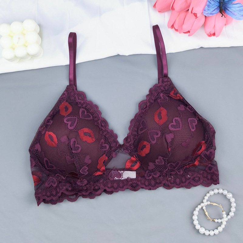 Transfronterizos tamaño europeo y americano marca labial de encaje transpirable delgado bordado damas bra comercio exterior bra Amazon al por mayor