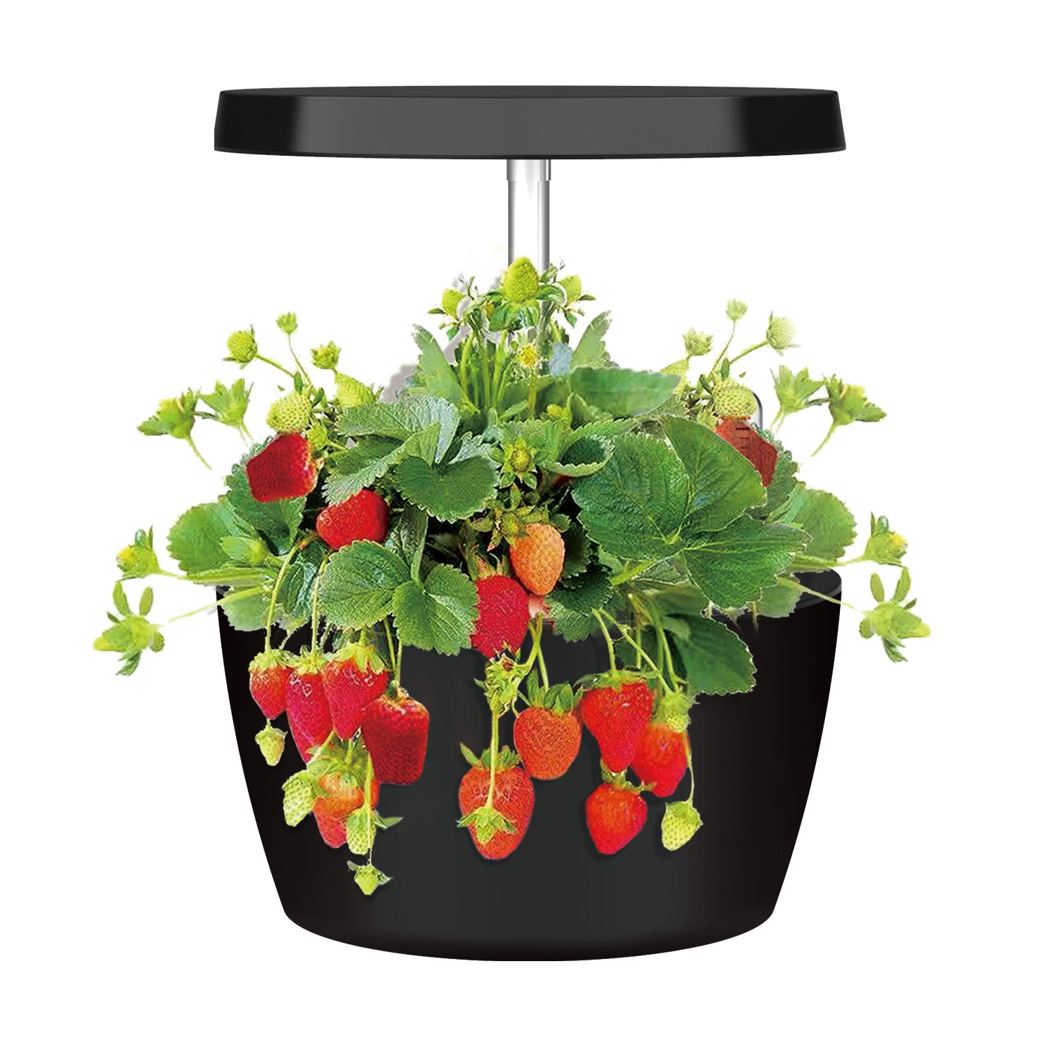 IGS-01SE интеллектуальная гидропонная посадочная машина крытый балкон посадка цветов гидропонная машина для выращивания растений машина для растений