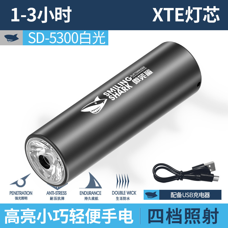 迷你ABS强光手电筒 USB充电户外小手电徒步便携家用照明手电筒|undefined