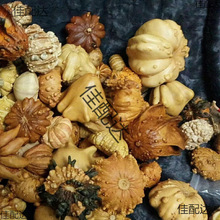 ���J�Ѷ�������ī�����J�w�Ϲ��߲��w����������