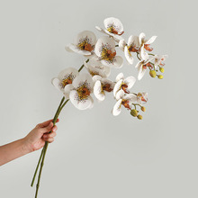 ����ٻ���֦7�^������m ��Y���÷����ɫ���z�޶��^�����m����