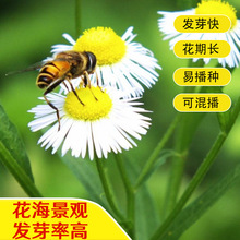 ҰջNӾջNѶļ_ͥԺ@̨҃׻