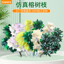 ���Ʒ����֦�G���٘��~�ӈ@�ֹ����b���^�z�Ř��~��֦�쾰