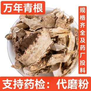 �f����� �Sβ�� �������� ����� �F����_�ڄ� �_�ڼ� �׺�܇
