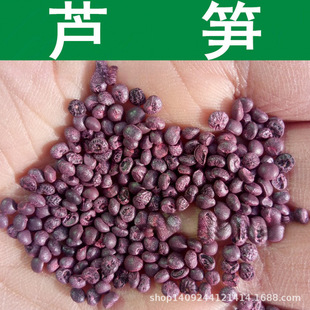 �羳�N���J�S�N�� ¶�S ʯ��� ɽ���� ��ݶ�S �G�J�S�N�� ��=��