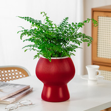 ��܎�����Ԅ���ˮ�������Ϙ�֬�Ӻ�tɫ����ϲ�c�[�����滨�軨��