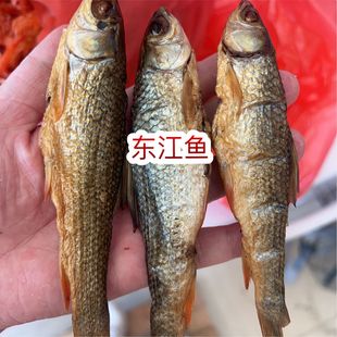 �S�����l�����خa�r�ҟ�Ѭ�|���~���~�|���~�ɟ�Ѭ�~�ɸ��~���l