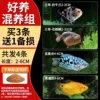 [Good Yang Mixed Breeding Group] Buy 3 and get 1 free B for loss
