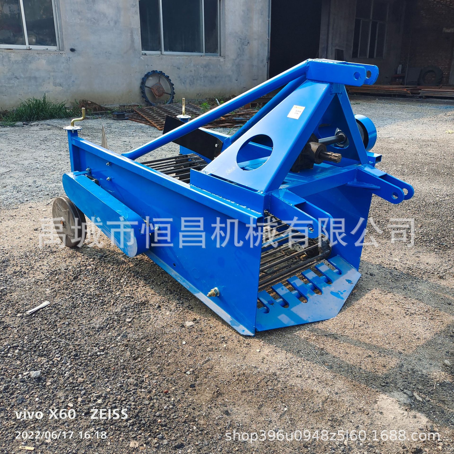 皮带款红薯土豆收货机 洋芋魔芋收货机 多种型号可选